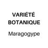 3.png 3.png