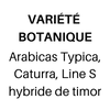 19.png 19.png